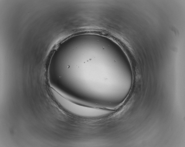 X0000111521357200907141459