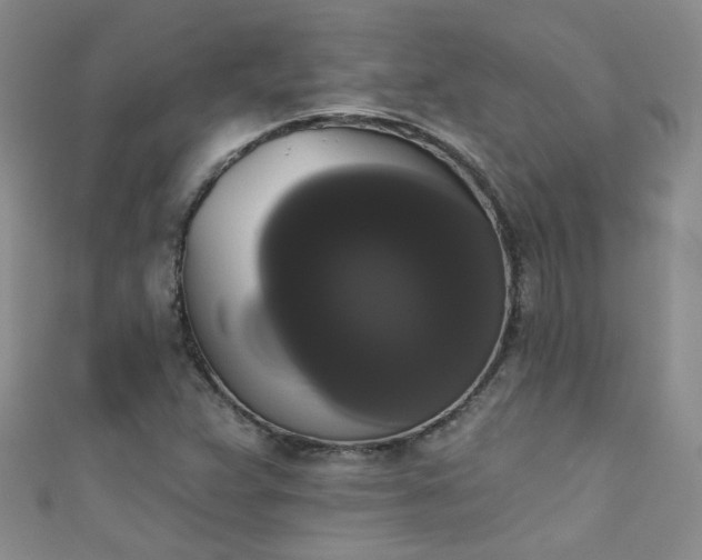 X0000111521359200907141459