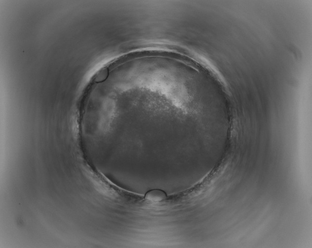 X0000111521360200907141459