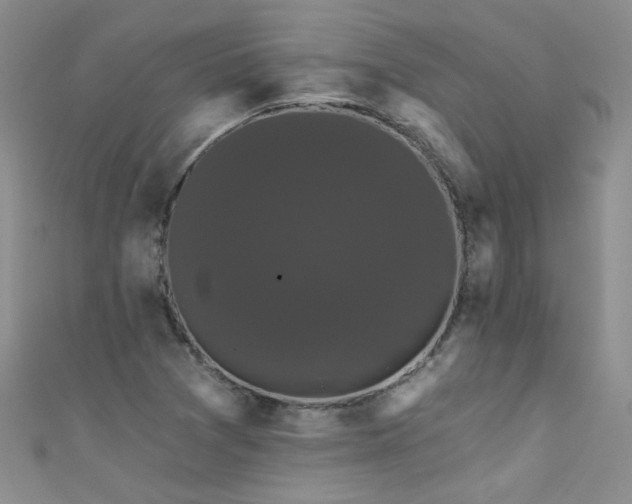 X0000111521361200907141459