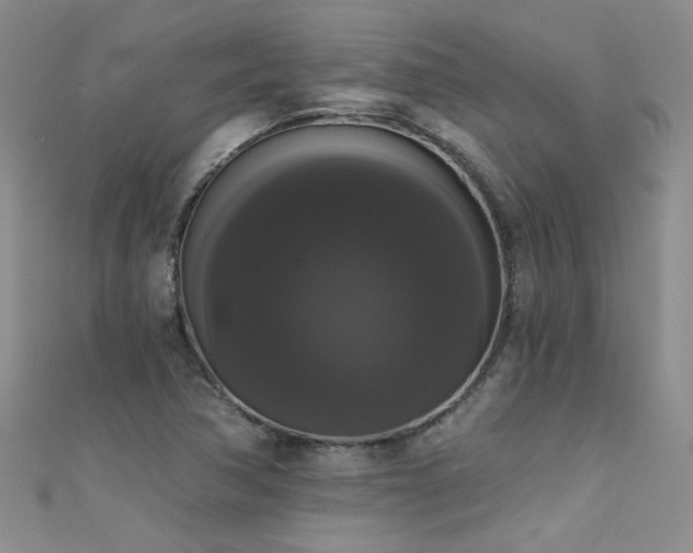 X0000111521362200907141459