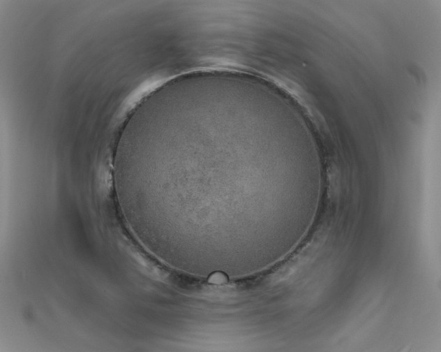 X0000111521363200907141459