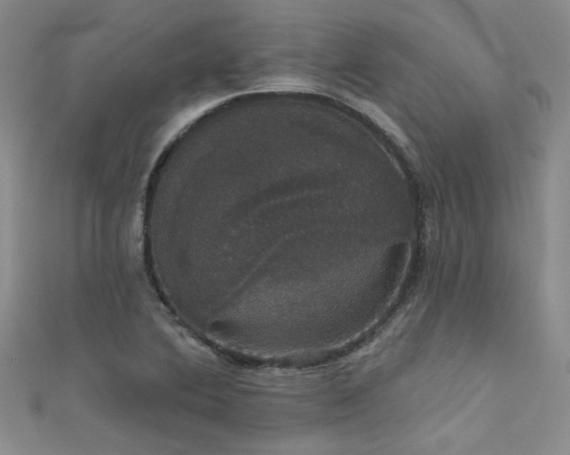 X0000111521364200907141459