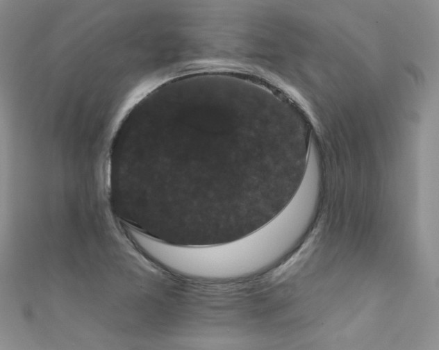 X0000111521365200907141459