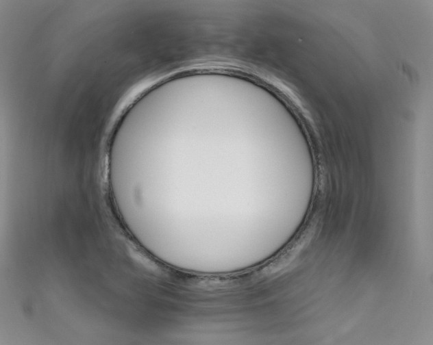 X0000111521366200907141459