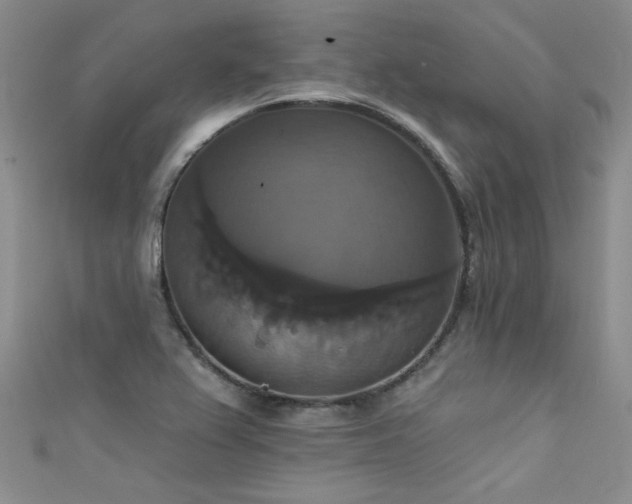 X0000111521367200907141459