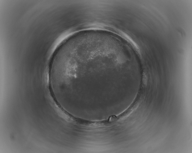 X0000111521368200907141459