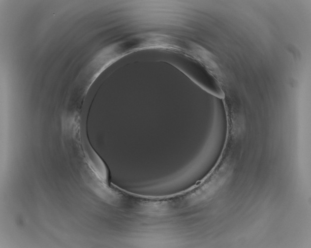 X0000111521369200907141459