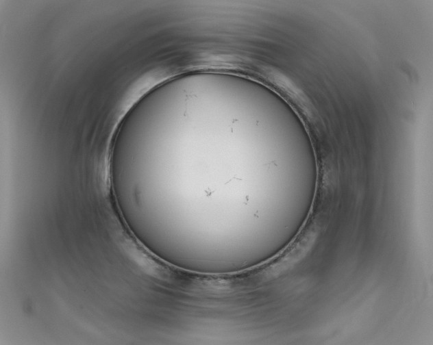 X0000111521370200907141459