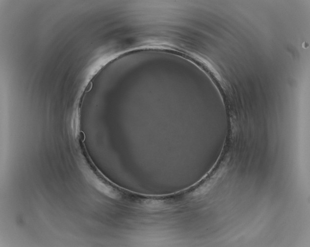X0000111521371200907141459