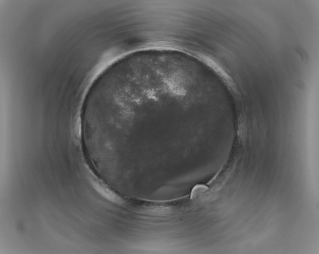 X0000111521372200907141459