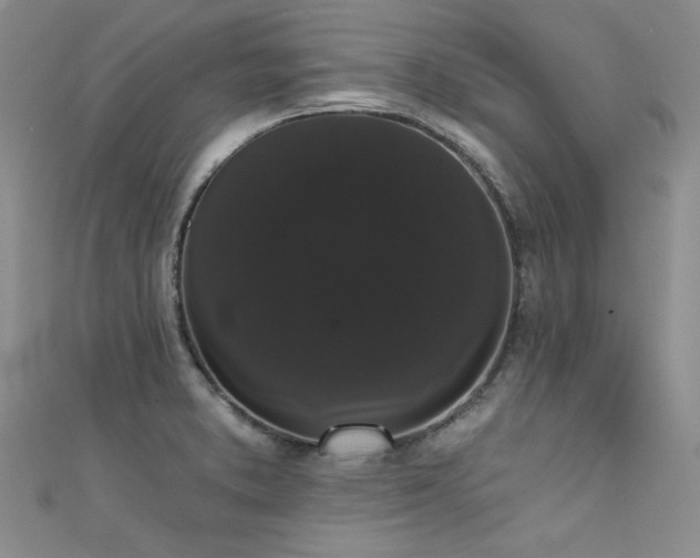 X0000111521373200907141459