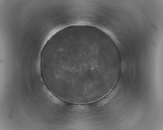 X0000111521374200907141459