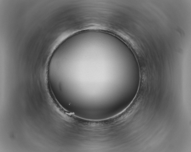 X0000111521375200907141459
