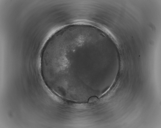 X0000111521376200907141459