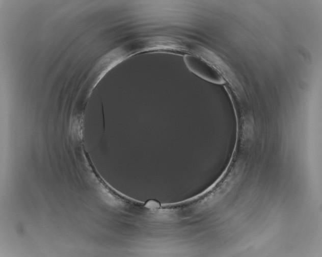 X0000111521377200907141459