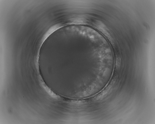 X0000111521378200907141459