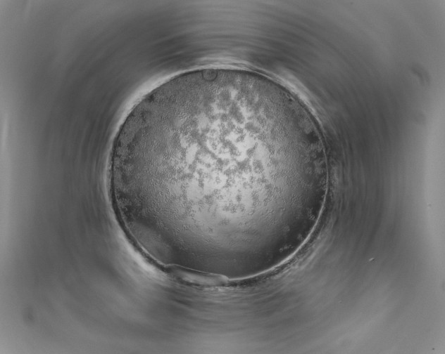 X0000111521379200907141459