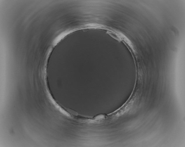 X0000111521381200907141459