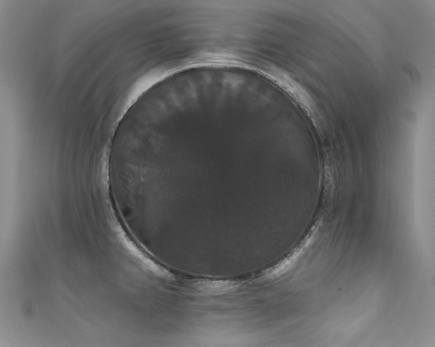 X0000111521382200907141459