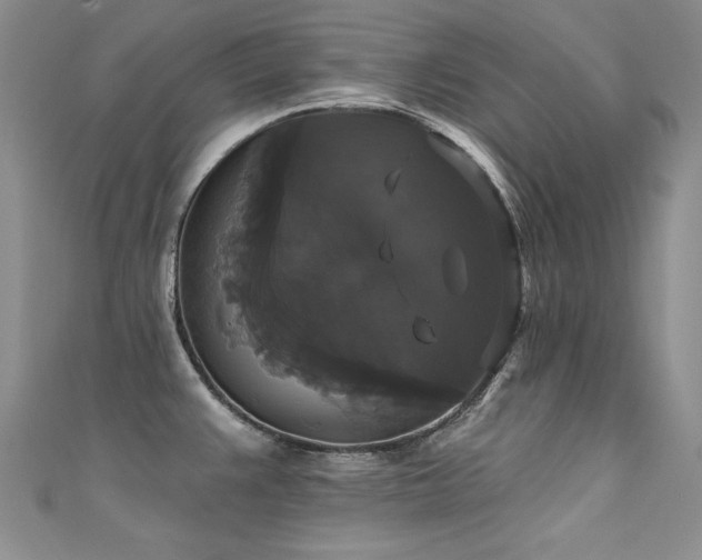 X0000111521383200907141459