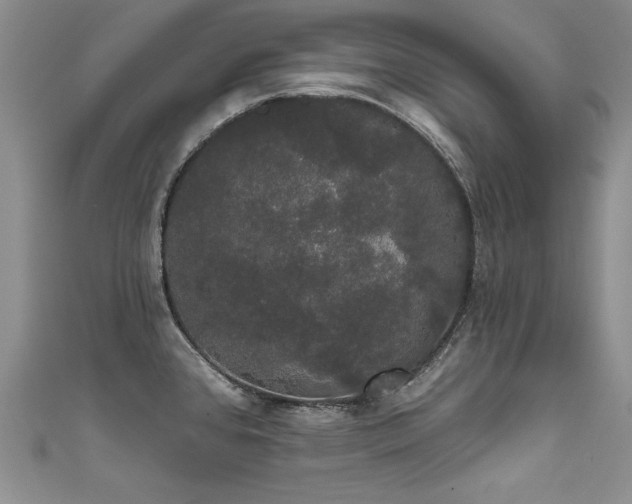 X0000111521384200907141459