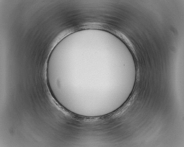 X0000111521386200907141459