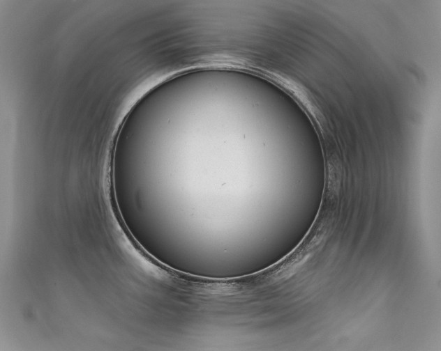 X0000111521387200907141459