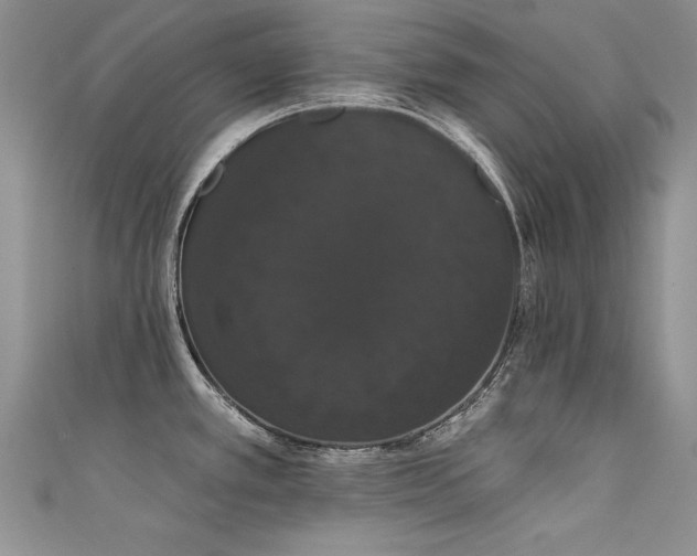 X0000111521389200907141459