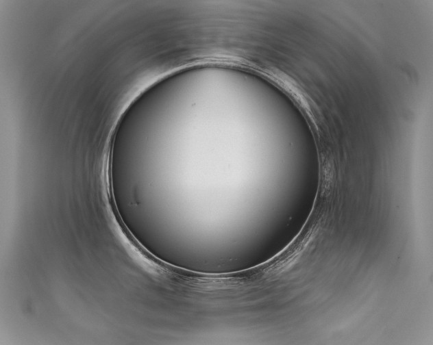 X0000111521391200907141459