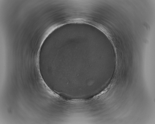 X0000111521392200907141459