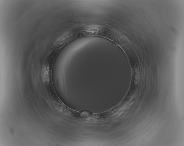 X0000111521394200907141458
