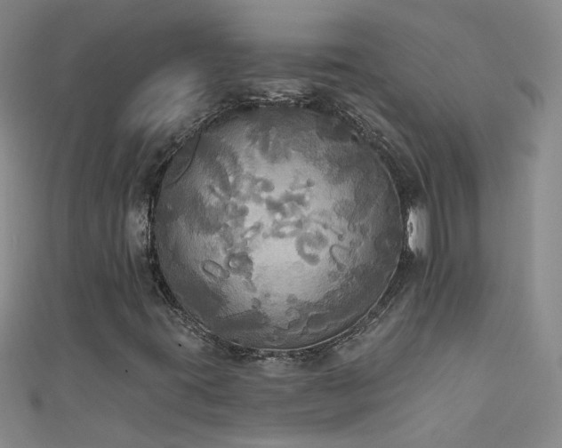 X0000111521395200907141458