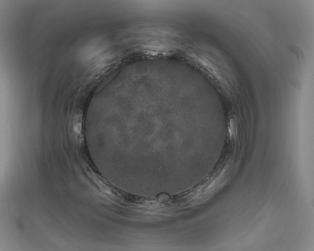 X0000111521396200907141458