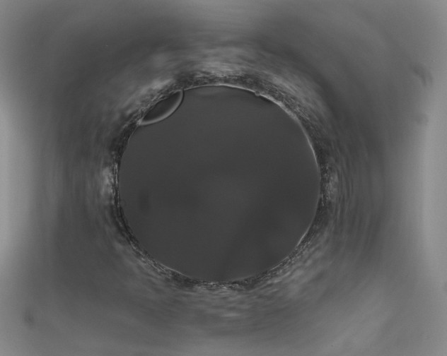 X0000111521397200907141458