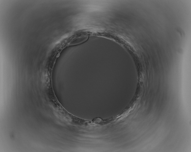 X0000111521398200907141458