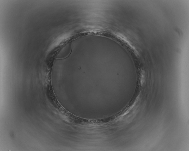 X0000111521399200907141458