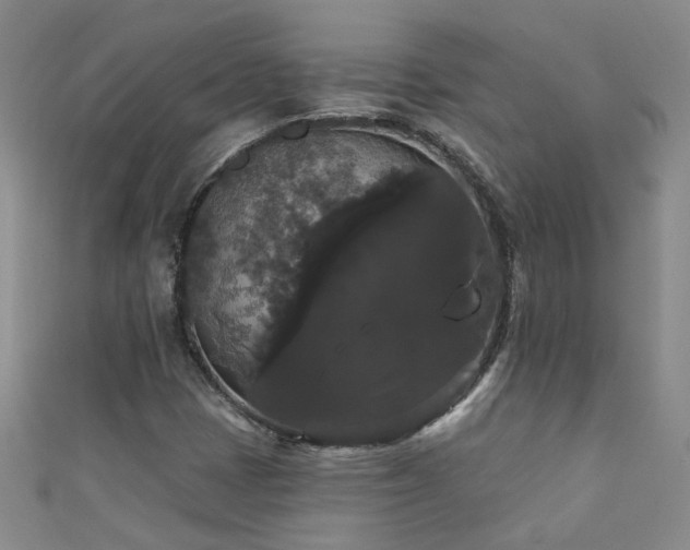X0000111521401200907141458