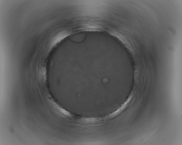 X0000111521402200907141458
