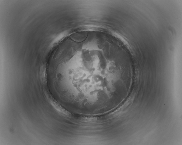 X0000111521403200907141458