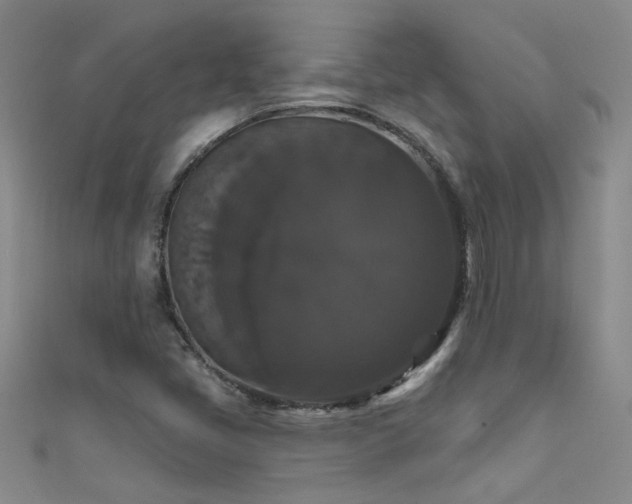 X0000111521405200907141458