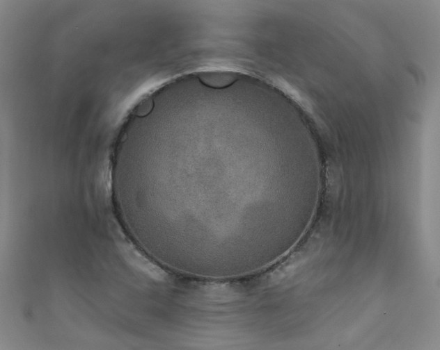 X0000111521408200907141458