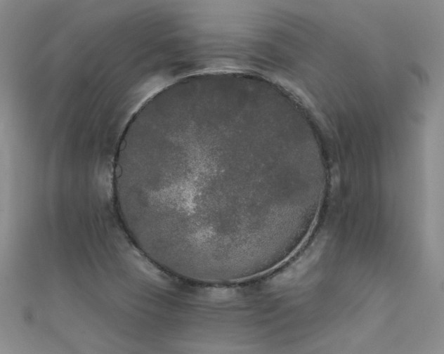 X0000111521409200907141458