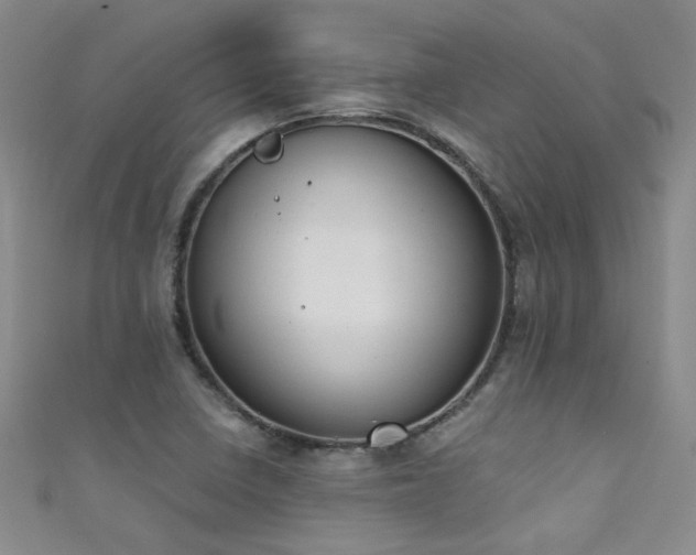 X0000111521410200907141458