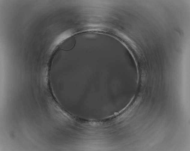 X0000111521411200907141458