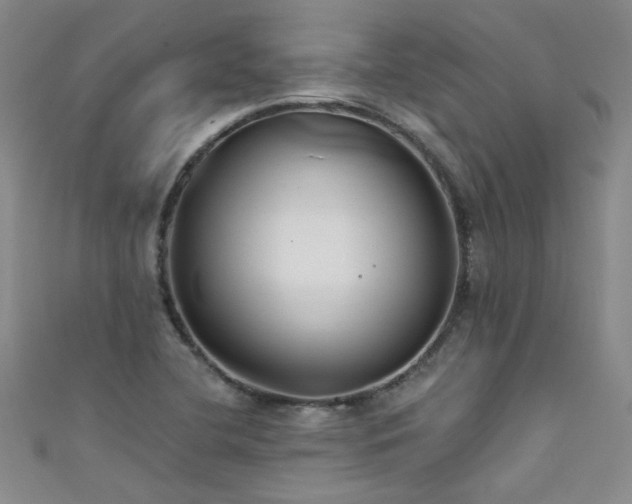 X0000111521412200907141458