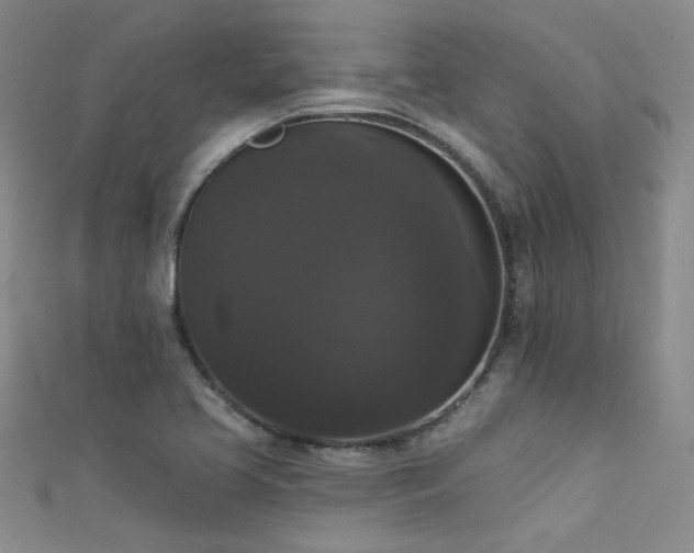 X0000111521413200907141458