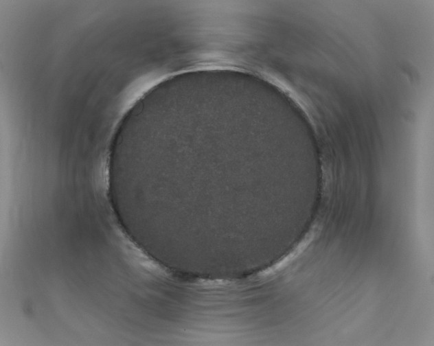 X0000111521415200907141458