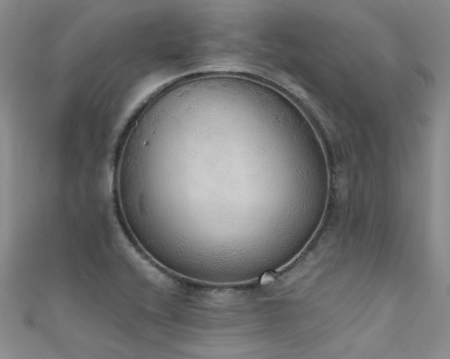 X0000111521416200907141458