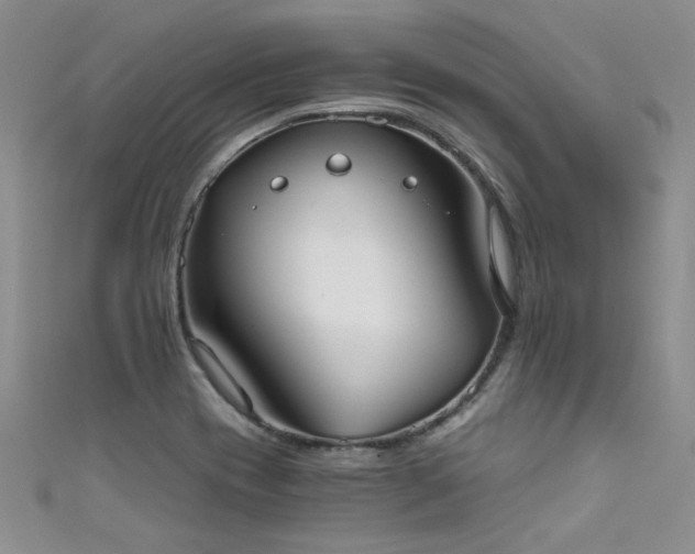 X0000111521417200907141458